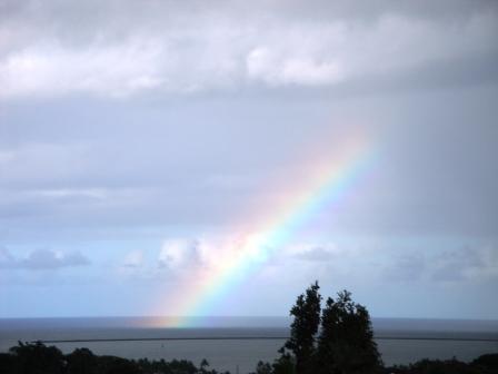 Hilo Bay Rainbow